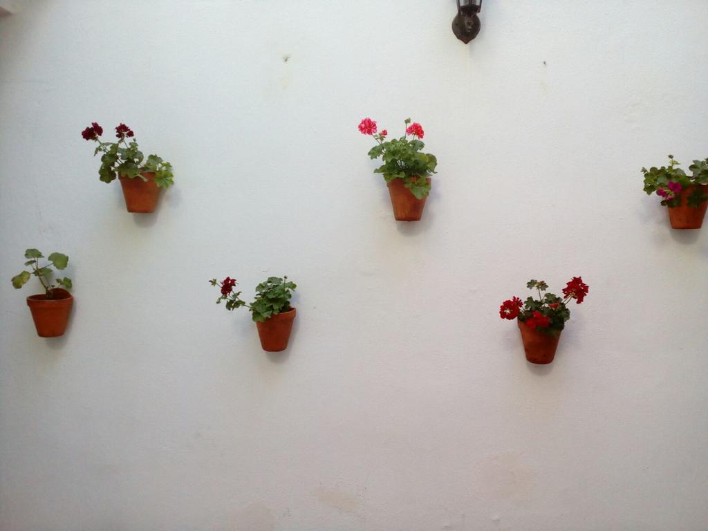 Apartamentos Porvera Jerez Jerez de la Frontera Buitenkant foto